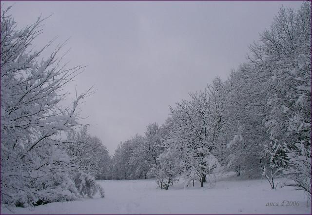 Peisaj de iarna din Gradina botanica - Iasi